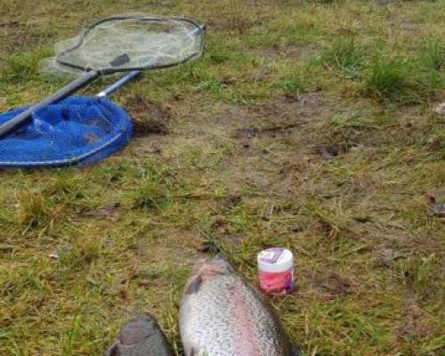 angelsee forellensee tellingstedt