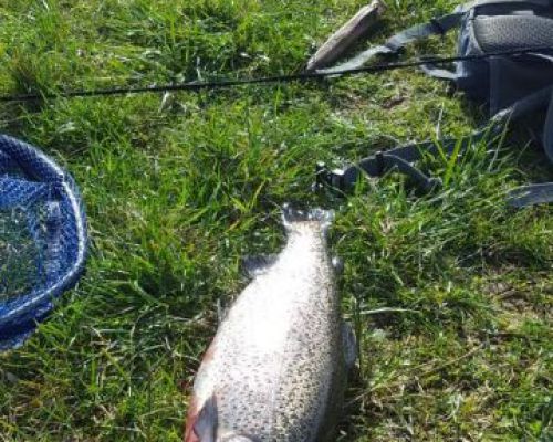 angelsee forellensee tellingstedt