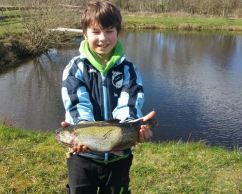 angelsee forellensee tellingstedt