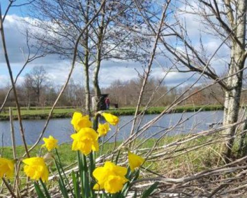 angelsee forellensee tellingstedt