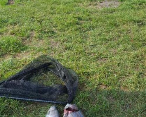 angelsee forellensee tellingstedt