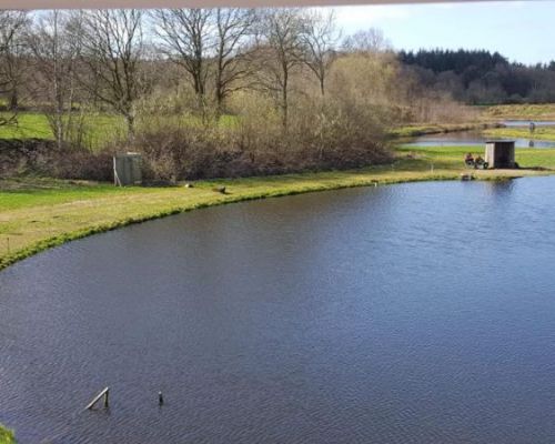 angelsee forellensee tellingstedt