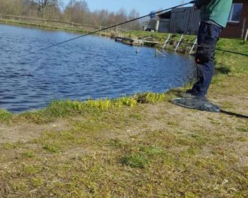 angelsee forellensee tellingstedt