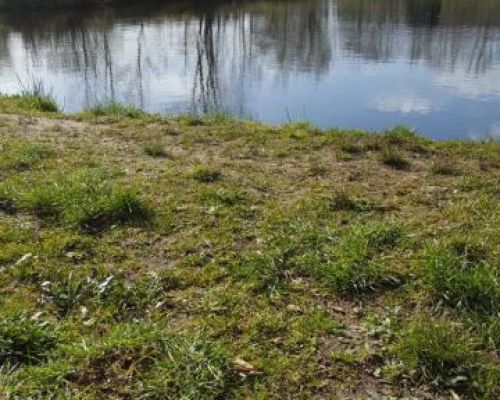 angelsee forellensee tellingstedt