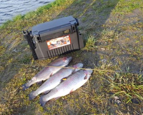 angelsee tellingstedt