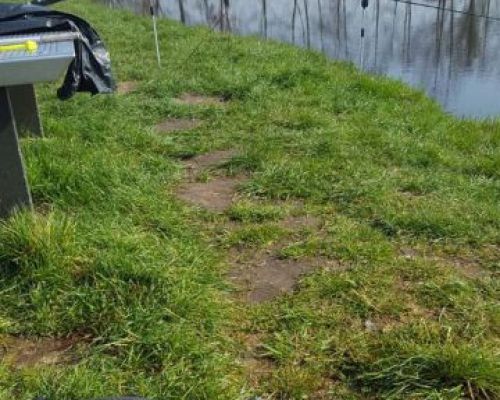 angelsee tellingstedt