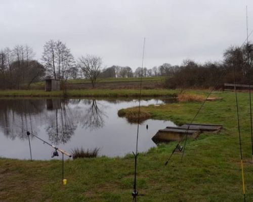 angelsee tellingstedt