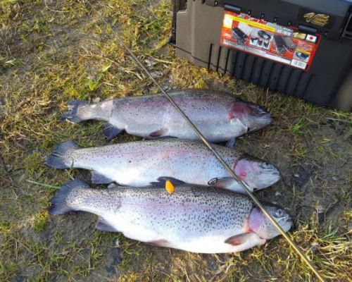 angelsee tellingstedt