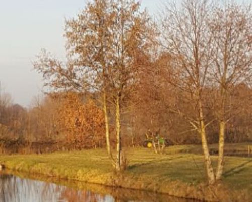 angelsee tellingstedt dithmarschen