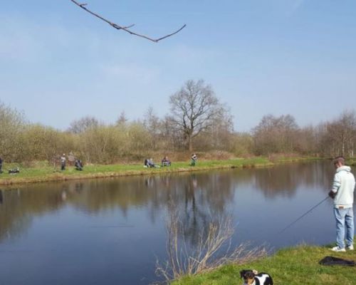 angelsee tellingstedt