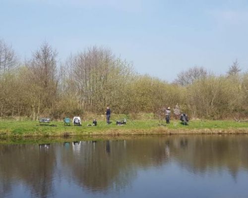 angelsee tellingstedt