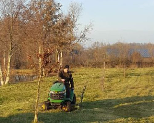 angelsee tellingstedt dithmarschen