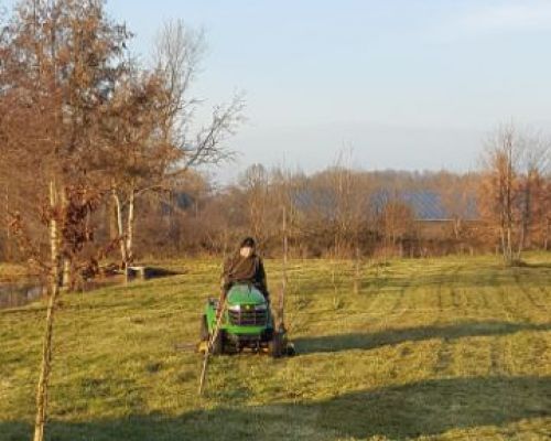 angelsee tellingstedt dithmarschen