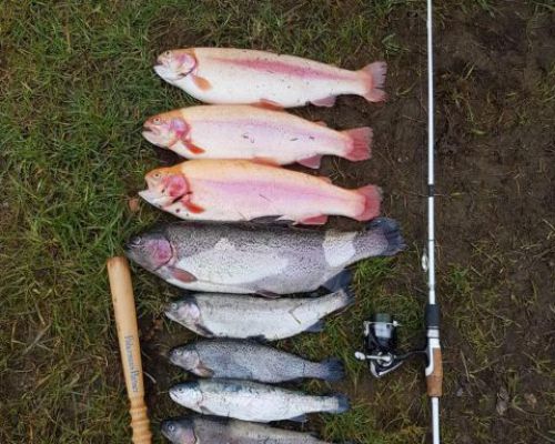 angelsee tellingstedt