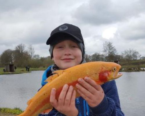 angelsee tellingstedt