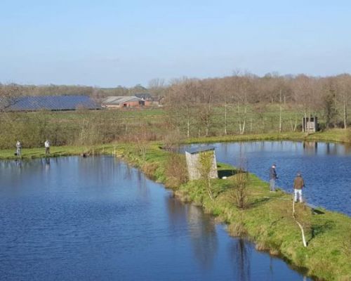 angelsee tellingstedt