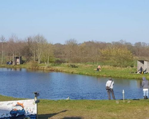 angelsee tellingstedt