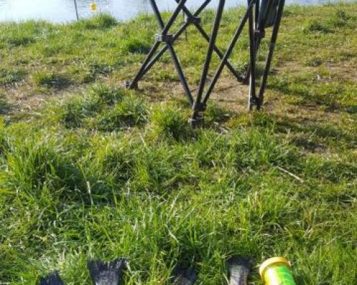 angelsee tellingstedt