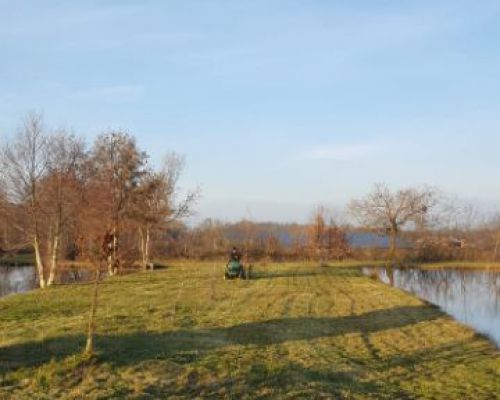 angelsee tellingstedt dithmarschen