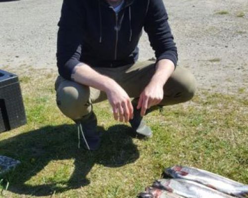 angelsee tellingstedt