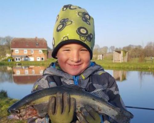 angelsee tellingstedt