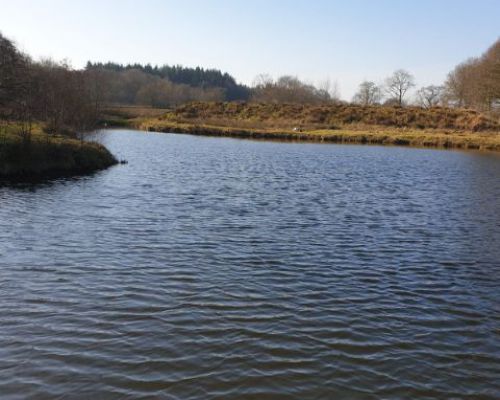 angelsee tellingstedt dithmarschen