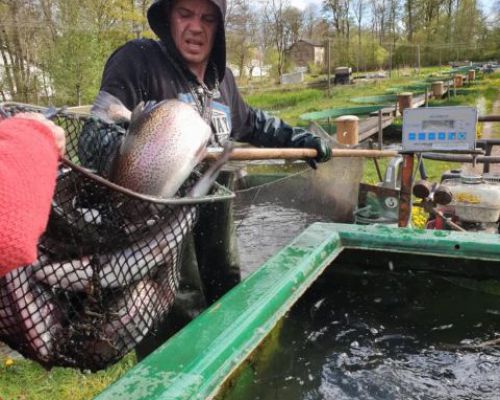 angelsee tellingstedt