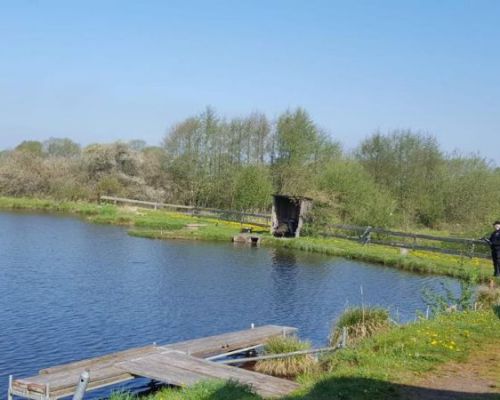 angelsee tellingstedt