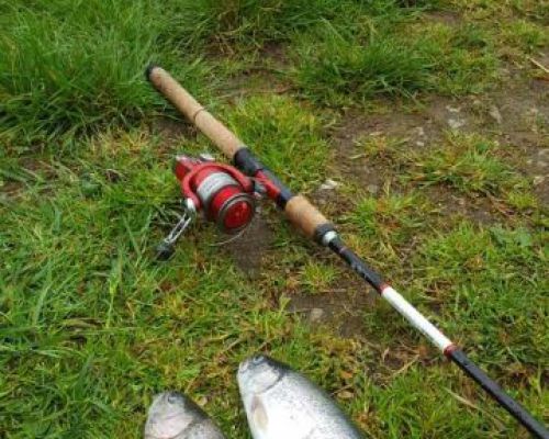 angelsee tellingstedt