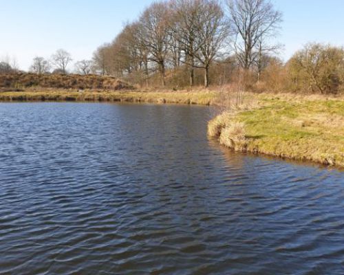 angelsee tellingstedt dithmarschen