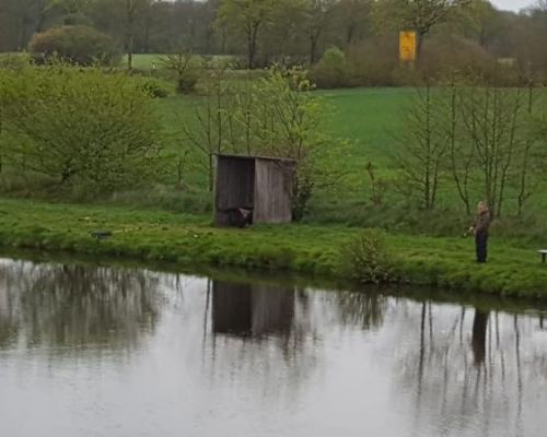 angelsee tellingstedt