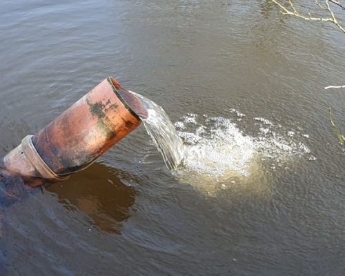 angelsee tellingstedt dithmarschen