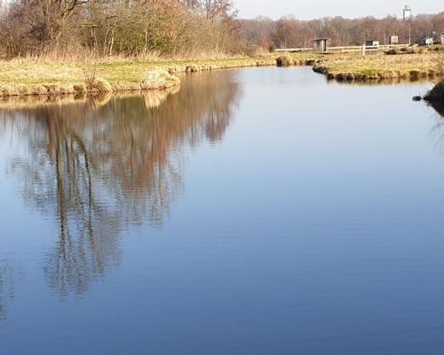 angelsee tellingstedt dithmarschen