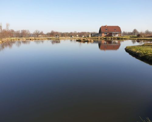 angelsee tellingstedt dithmarschen