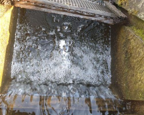 angelsee tellingstedt dithmarschen