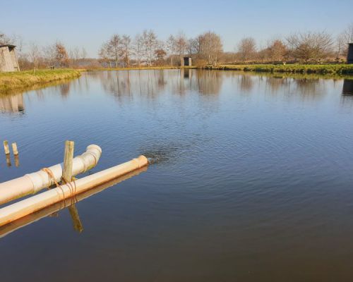 angelsee tellingstedt dithmarschen