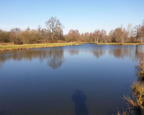 angelsee tellingstedt dithmarschen