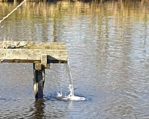 angelsee tellingstedt dithmarschen