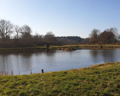 angelsee tellingstedt dithmarschen