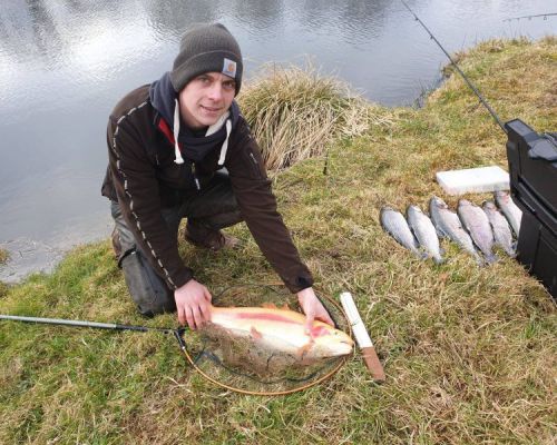 angelsee forellensee tellingstedt