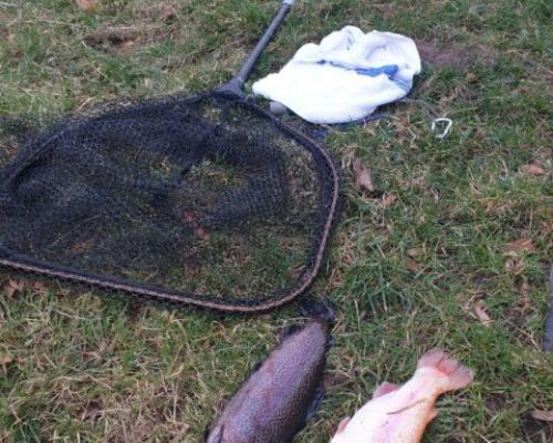 angelsee forellensee tellingstedt