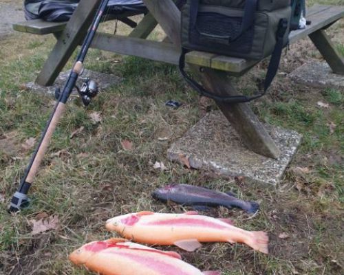 angelsee forellensee tellingstedt