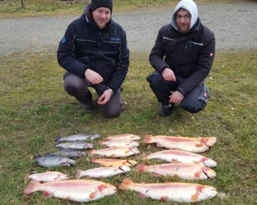 angelsee forellensee tellingstedt