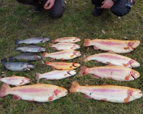 angelsee forellensee tellingstedt