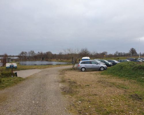 angelsee forellensee tellingstedt