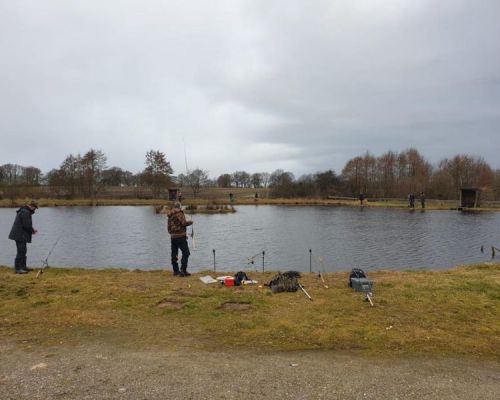 angelsee forellensee tellingstedt