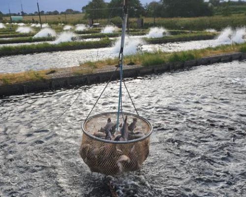 69136930_483735965771161_6371476609433600000_n (1).jpg