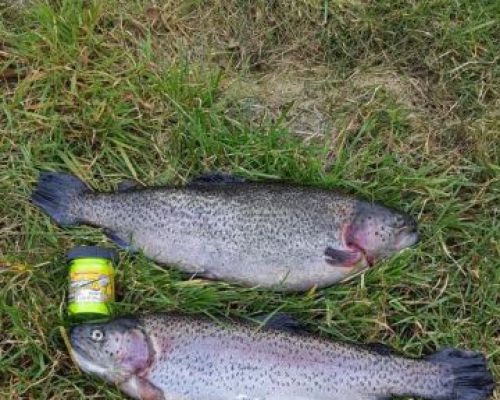 angelsee forellensee tellingstedt