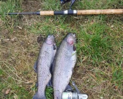 angelsee forellensee tellingstedt