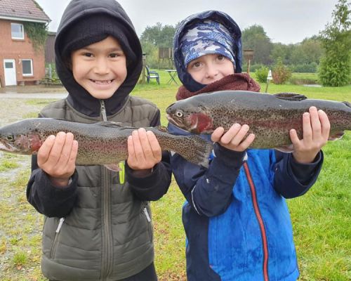 Angelsee Kleinvollstedt Bilder aus dem Oktober 2019